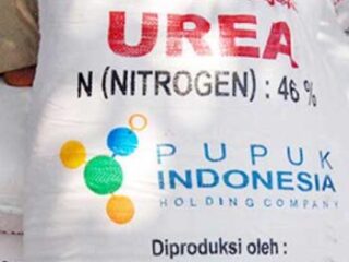 Stok Pupuk Subsidi di Kabupaten Serang Aman, Penebusan Dipermudah Mulai 2025